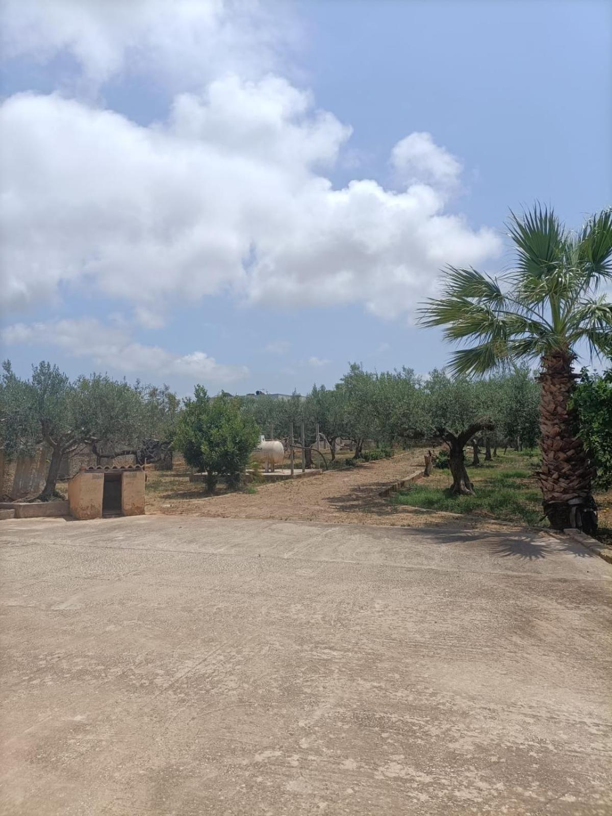 Casa Vacanza Nino Marsala Extérieur photo